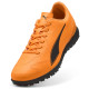 Puma Vitoria II TT
